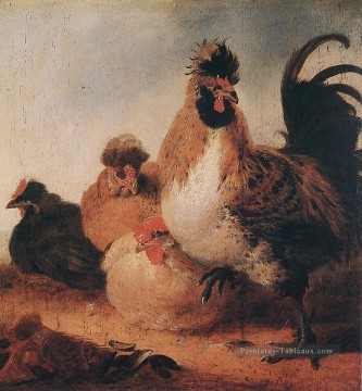  le art - Campagne de coq et de poules peintre Aelbert Cuyp